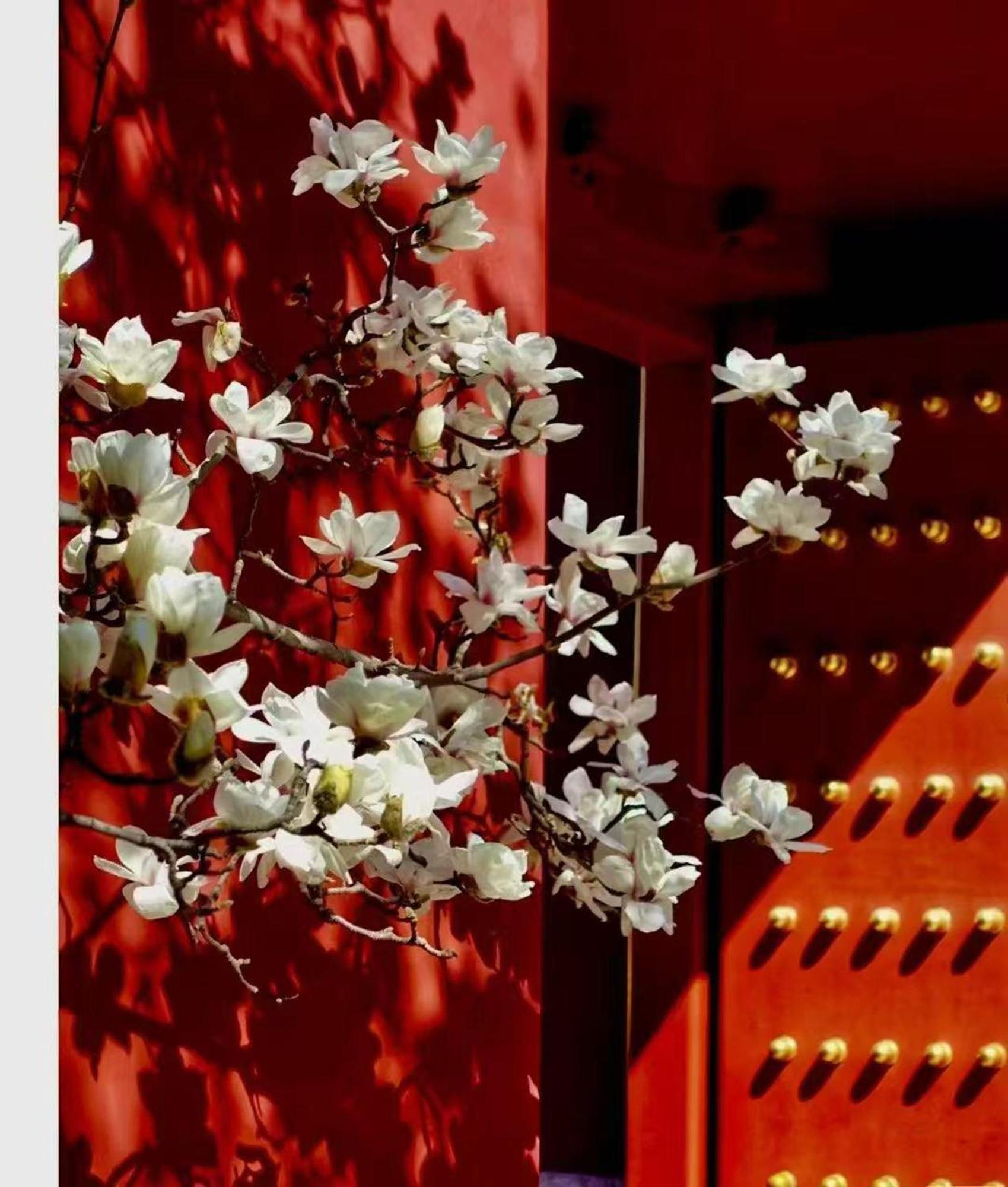 Hotel Cote Cour Deductive Beijing - Quadrangle Close To Tiananmen Square & Forbidden City & Nanluoguxiang, Walk To Wangfujing, English Speaking, Free Wifi, Free Laundry, Free Wonton & Noodles With Tour Ticket Service, Free Selfies With Ancient Costum Exteriér fotografie
